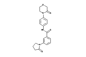 N-[4-(3-ketomorpholino)phenyl]-3-(2-ketopyrrolidino)benzamide