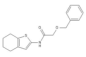 2-benzoxy-N-(4,5,6,7-tetrahydrobenzothiophen-2-yl)acetamide