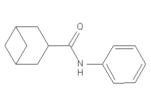 N-phenylnorpinane-3-carboxamide