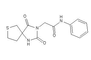 Image of 2-(2,4-diketo-7-thia-1,3-diazaspiro[4.4]nonan-3-yl)-N-phenyl-acetamide