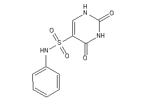 2,4-diketo-N-phenyl-1H-pyrimidine-5-sulfonamide