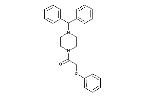 Zinc Item 19798039