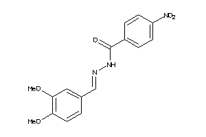 255061