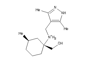 53116406