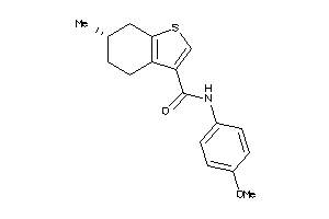536658