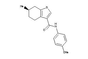 536659