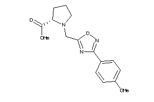 55341032