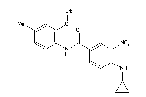 55616602